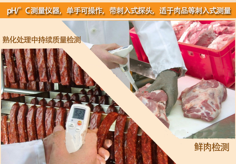 德国testo205 pH计酸碱度计