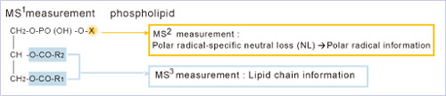 LCMS-IT-TOF-13.jpg
