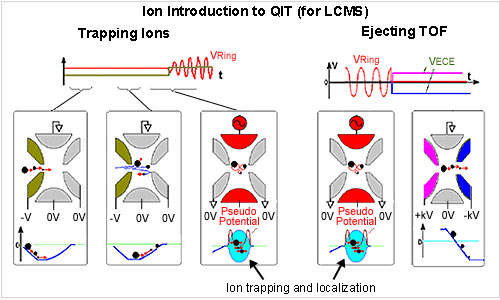 LCMS-IT-TOF-07.jpg