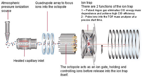 LCMS-IT-TOF-41.jpg